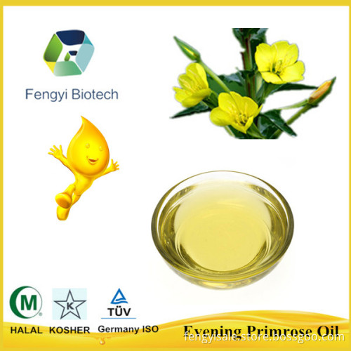 100% Pure Bulk Evening Primrose Oil for Sale